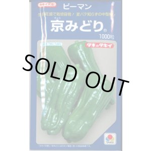 画像: 送料無料　[ピーマン]　京みどり　1000粒　タキイ種苗(株)