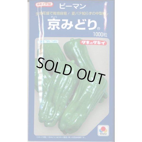画像1: 送料無料　[ピーマン]　京みどり　1000粒　タキイ種苗(株) (1)