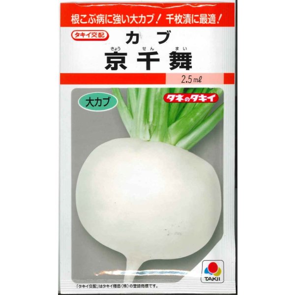 画像1: 送料無料　[かぶ]　京千舞　2.2ml　タキイ種苗(株)　RF (1)
