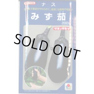画像: 送料無料　[なす]　みず茄子　2000粒　タキイ種苗(株)