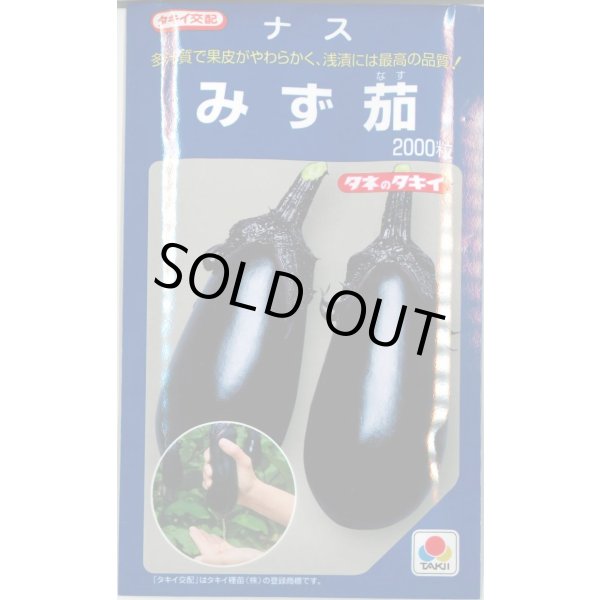 画像1: 送料無料　[なす]　みず茄子　2000粒　タキイ種苗(株) (1)