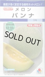 画像: 送料無料　[メロン]　パンナ　8粒　タキイ種苗　DF
