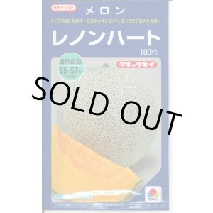画像: 送料無料　[メロン]　レノンハート　100粒　タキイ種苗