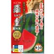 画像1: 送料無料　[スイカ]　大玉スイカ　羅皇(らおう)　7粒　ナント種苗(株) (1)