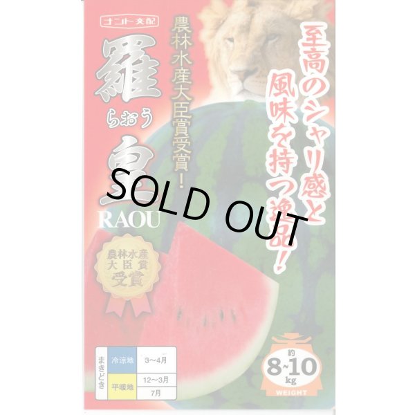 画像1: 送料無料　[スイカ]　大玉スイカ　羅皇(らおう)　7粒　ナント種苗(株) (1)