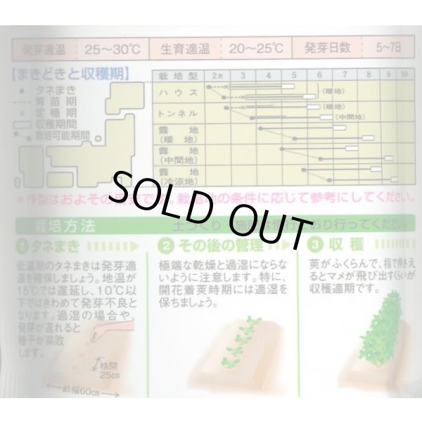 画像2: [枝豆]　ビアフレンド　1L　タキイ種苗（株） (2)