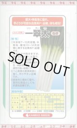 画像: [ねぎ] 一翠太 20ml カネコ種苗（株）