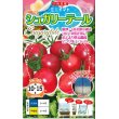 画像1: [トマト/ミニトマト]　送料無料！　シュガリーテール　500粒　ナント種苗（株） (1)