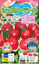 画像: 送料無料　[トマト/ミニトマト]　シュガリーテール　500粒　ナント種苗(株)
