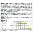 画像2: 送料無料　[ブロッコリー]　緑嶺　20ml　(株)サカタのタネ (2)