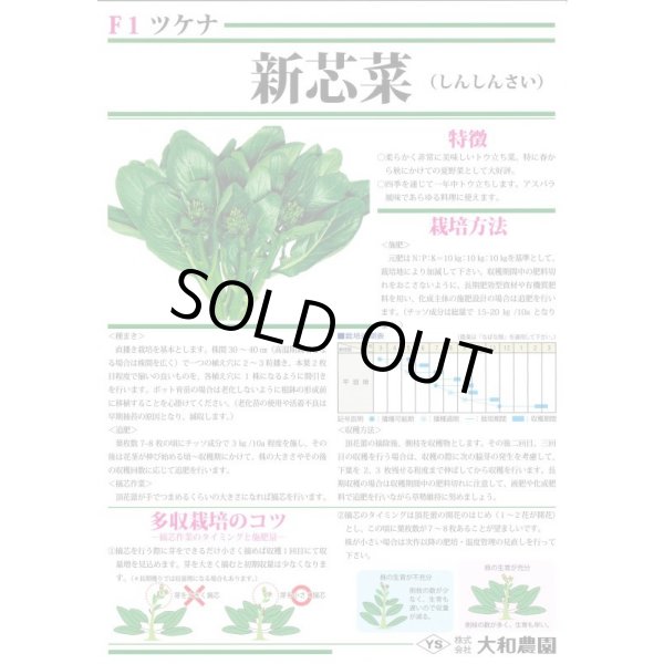 画像3: 送料無料　新芯菜　5ml(およそ900粒)　（株）大和農園 (3)