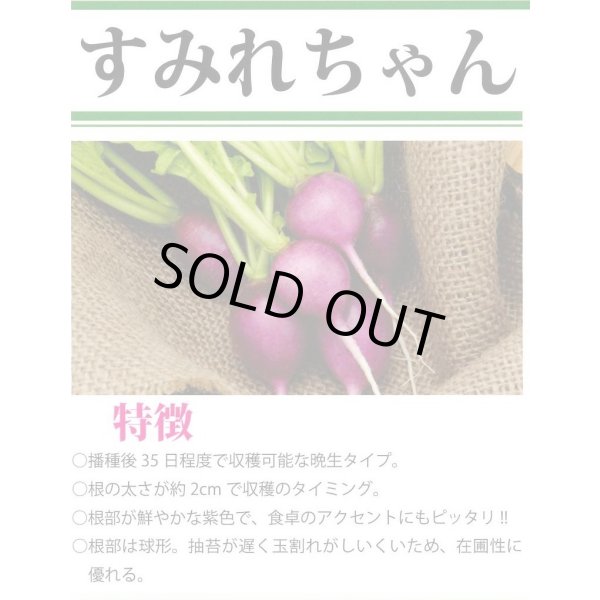 画像3: 送料無料　[大根]　二十日すみれちゃん　5ml (3)