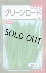 画像: 送料無料　[葉物]　ニラ　グリーンロード　20ml　（株）サカタのタネ