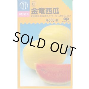 画像: 送料無料　[スイカ]　小玉スイカ　金竜西瓜　小袋(10粒)　中原採種場(株)