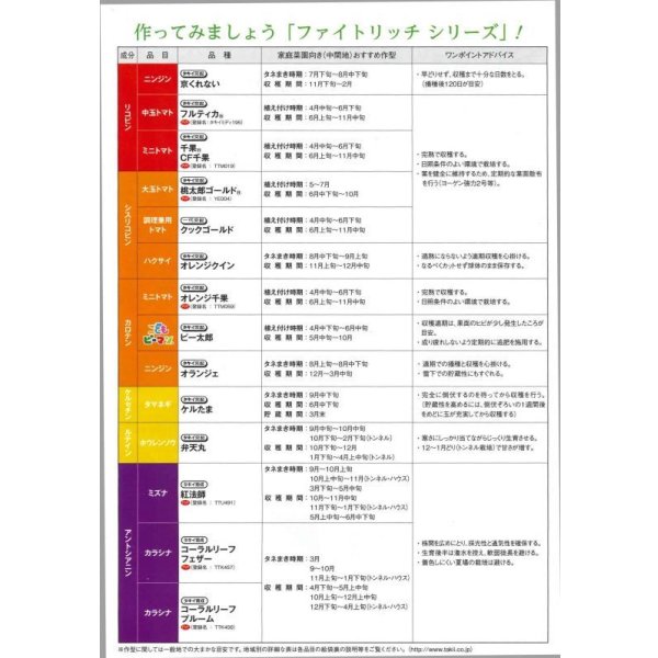 画像5: 送料無料　[たまねぎ]ケルたま2dl（ およそ27,800粒）タキイ種苗(株) (5)
