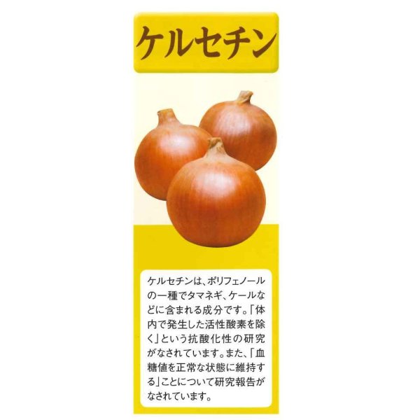 画像7: 送料無料　[たまねぎ]ケルたま2dl（ およそ27,800粒）タキイ種苗(株) (7)