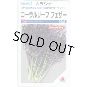 画像: からしな コーラルリーフフェザー 20ml タキイ種苗