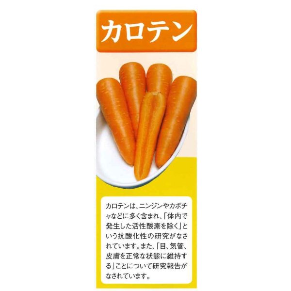 画像6: [人参] オランジェ ペレット種子1万粒 タキイ種苗(株) (6)