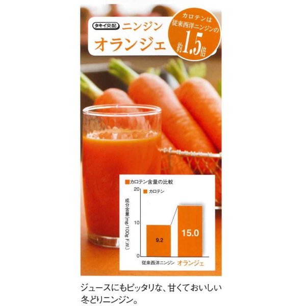 画像5: [人参] オランジェ ペレット種子1万粒 タキイ種苗(株) (5)