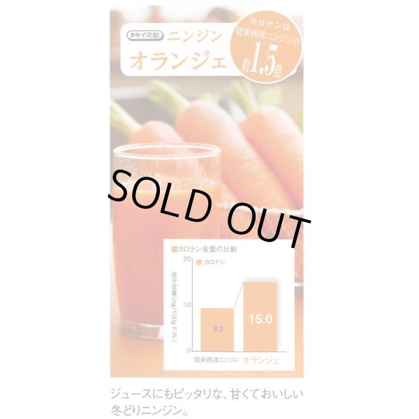 画像5: 送料無料 [人参] オランジェ ペレット500粒 タキイ種苗(株) (5)