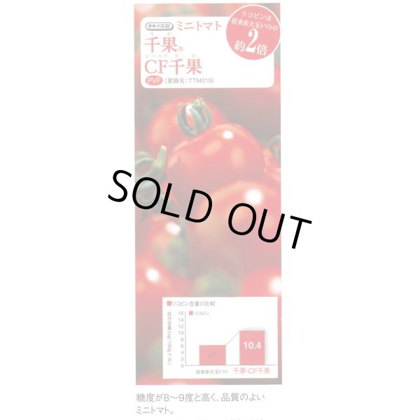画像3: 送料無料　[トマト/ミニトマト]　CF千果　小袋(16粒)　タキイ種苗(株)　DF (3)