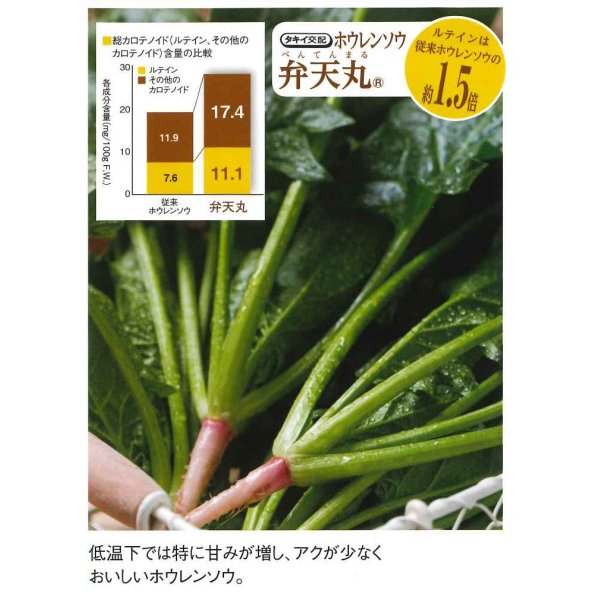 画像5: 送料無料　[ほうれんそう]　弁天丸　40ml　タキイ種苗　RF (5)