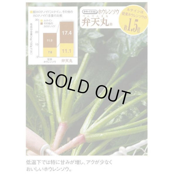 画像5: [ほうれんそう] 弁天丸 3万粒(Mサイズ) タキイ種苗 (5)