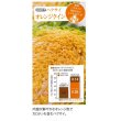 画像5: [白菜]　送料無料！　オレンジクイン　ペレット　5000粒タキイ種苗（株） (5)