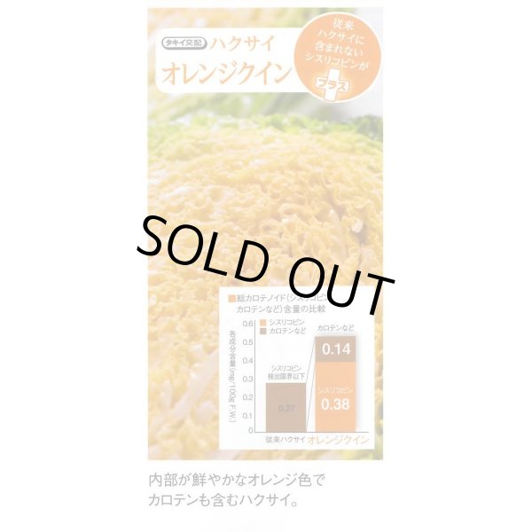 画像5: 送料無料 [白菜] オレンジクイン ペレット種子 100粒 タキイ種苗(株) (5)