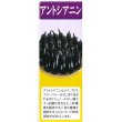 画像5: [葉物]　からしな　　コーラルリーフフェザー　6ml　タキイ種苗（株）GF (5)