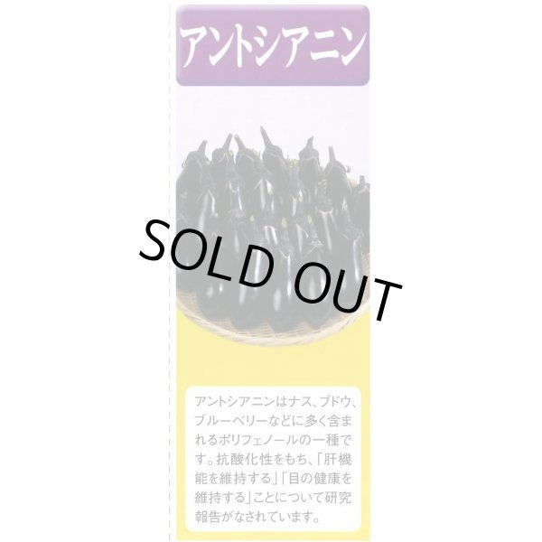 画像5: 送料無料　からしな　コーラルリーフフェザー　6ml　タキイ種苗(株)GF (5)