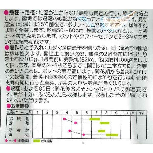 画像2: [枝豆]　おつな姫　約50粒　サカタのタネ（株）　実咲300 (2)