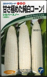 画像: 送料無料　[とうもろこし]　シルバースノー　15ml　(株)タカヤマシード