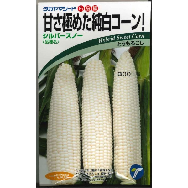 画像1: [とうもろこし]　シルバースノー　15ml　（株）タカヤマシード (1)