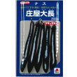 画像1: 送料無料　[なす]　庄屋大長　2000粒　タキイ種苗(株) (1)