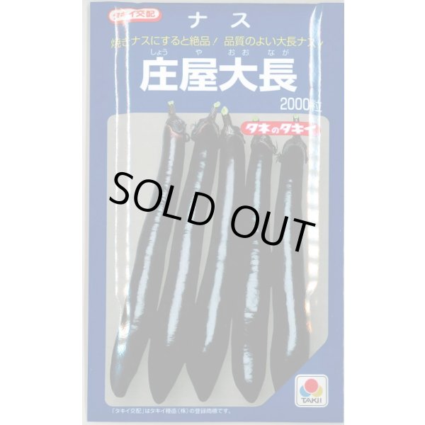 画像1: 送料無料　[なす]　庄屋大長　2000粒　タキイ種苗(株) (1)