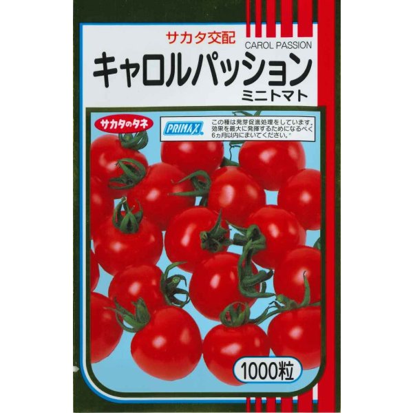 画像1: 送料無料　[トマト/ミニトマト]　キャロルパッション　1000粒　(株)サカタのタネ (1)