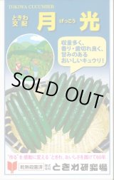 画像: 送料無料　[キュウリ]　月光　20粒　(株)ときわ研究場