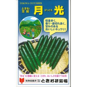 画像: [キュウリ]　月光　20粒　（株）（株）ときわ研究場