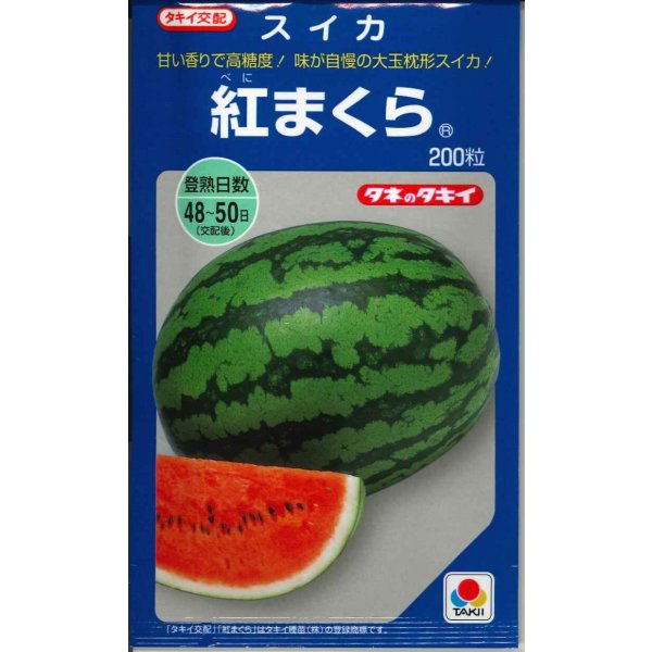 画像1: 送料無料 [スイカ] 大玉スイカ 紅まくら 200粒 タキイ種苗(株) (1)