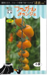 画像: 送料無料　トマト種　フラガール　オランジェ　8粒