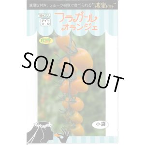 画像: 送料無料　トマト種　フラガール　オランジェ　8粒