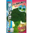 画像1: [ブロッコリー]　夢ひびき　20ml　ナント種苗（株） (1)