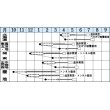 画像2: [レタス]　バークレー　コート5千粒　タキイ種苗（株）　 (2)