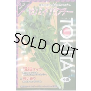 画像: 送料無料　[ハーブの種]　コリアンダー　サバイパクチー　10ml　トキタ種苗