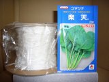 画像: [シーダー種子]　小松菜　楽天　1粒×5cm間隔