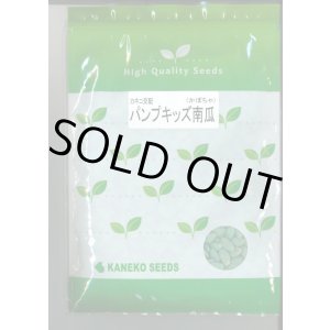 画像: 送料無料　[かぼちゃ]　ミニカボチャ　パンプキッズ　500粒　カネコ種苗（株）