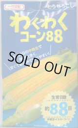 画像: 送料無料　[とうもろこし]　わくわくコーン88　100粒　カネコ種苗（株）