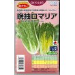 画像1: [レタス]　ロメインレタス　晩抽ロマリア　ペレット種子１００粒　タキイ種苗（株） (1)