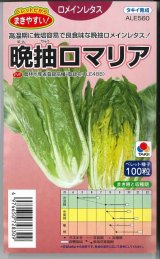 画像: 送料無料　[レタス]　ロメインレタス　晩抽ロマリア　ペレット種子100粒　タキイ種苗(株)